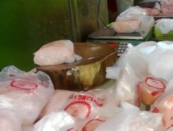 Harga Ayam Potong di Ternate Naik Jadi Rp 45 Ribu per Ekor