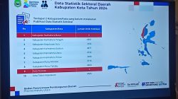Publikasi Data Sektoral 2024: Delapan Daerah Melaju, Dua Tertinggal Nol Publikasi