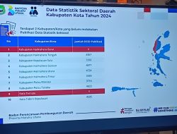 Publikasi Data Sektoral 2024: Delapan Daerah Melaju, Dua Tertinggal Nol Publikasi