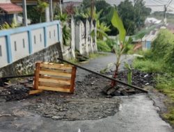 Warga Sangaji Utara Kota Ternate Tanam Pohon Pisang, Protes Jalan Rusak yang Bertahun-Tahun Dibiarkan