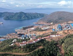 JATAM Desak Kasus Pajak PT Wanatiara Persada Diusut sebagai Kejahatan Korporasi