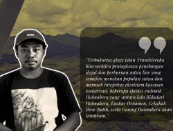 JPIK Maluku Utara Nilai Jalan Trans Kieraha Berisiko Picu Deforestasi dan Konflik Sosial