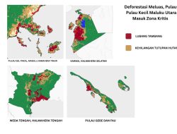 Peringati Hari Lingkungan Hidup Sedunia 2026, JPIK Maluku Utara, Deforestasi Meluas, Pulau-Pulau Kecil Maluku Utara Masuk Zona Kritis Akibat Ekspansi Tambang Nikel