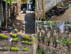 Mahasiswa KKN Kelurahan Moya Wujudkan Lorong Hijau Melalui Penanaman Sayur dan Tanaman Obat di RT 01